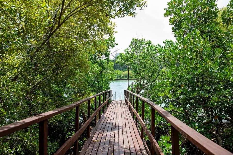 Natural landscape, Lake view
