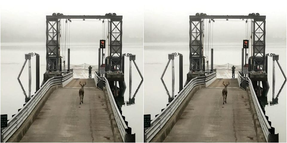 Amazing Sunrise at Coastal Luxury Cabin Rental on Herron Island with Fire Pit and Paddle Boarding near Olympia, Washington Cabin in Herron Island