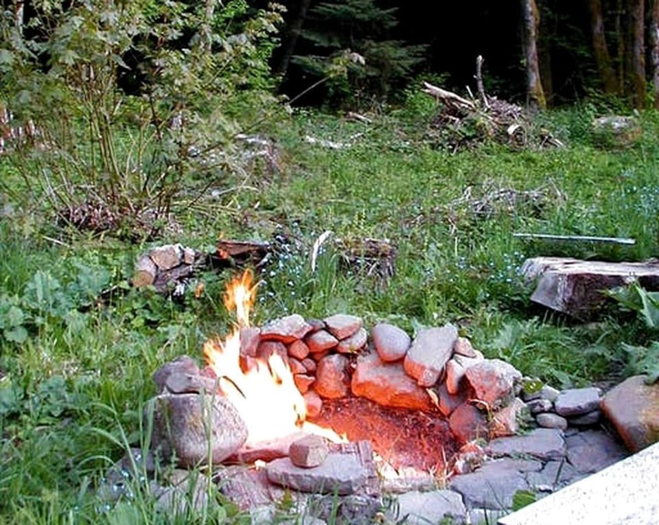 Secluded Cabin Rental near Mount Rainier National Park in Washington Cabin in Ashford