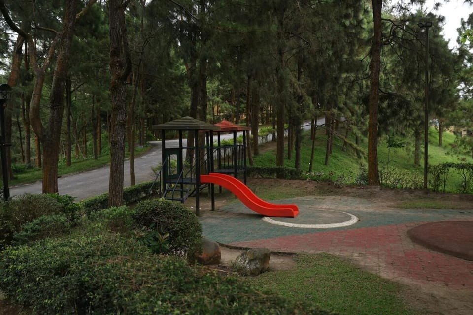 Children play ground