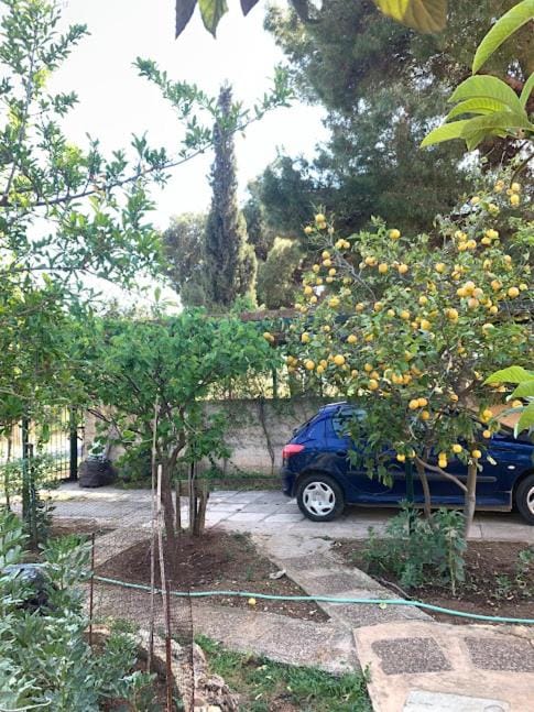 Δωμάτιο με λουτρό σε εξοχικό σπίτι Ραφήνα Vacation rental in East Attica Regional Unit, Greece