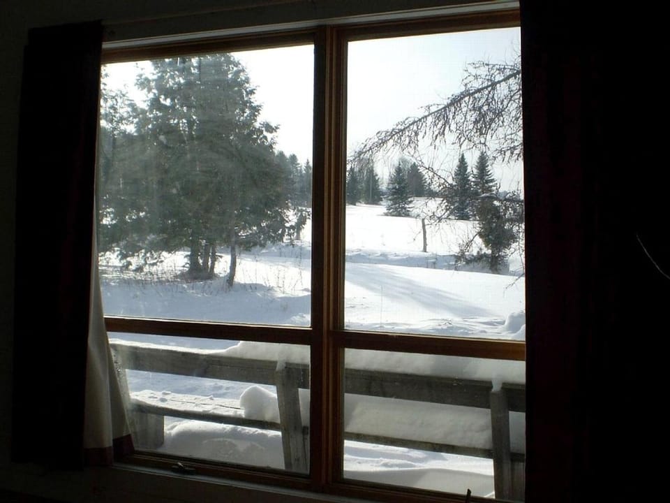 All Season Pet-Friendly Cabin Rental with Full Kitchen in the Northeast Kingdom of Vermont Cabin in Orleans
