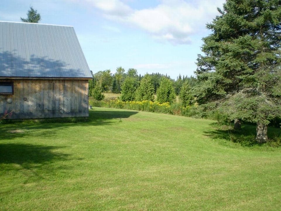 All Season Pet-Friendly Cabin Rental with Full Kitchen in the Northeast Kingdom of Vermont Cabin in Orleans