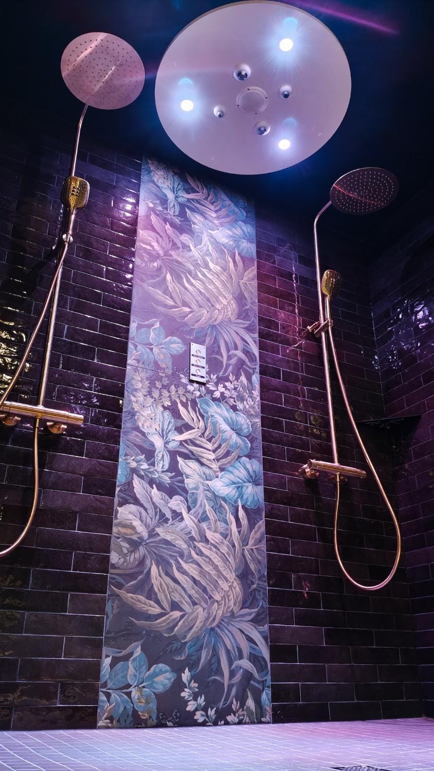 Shower, Bathroom, Spa and wellness centre/facilities