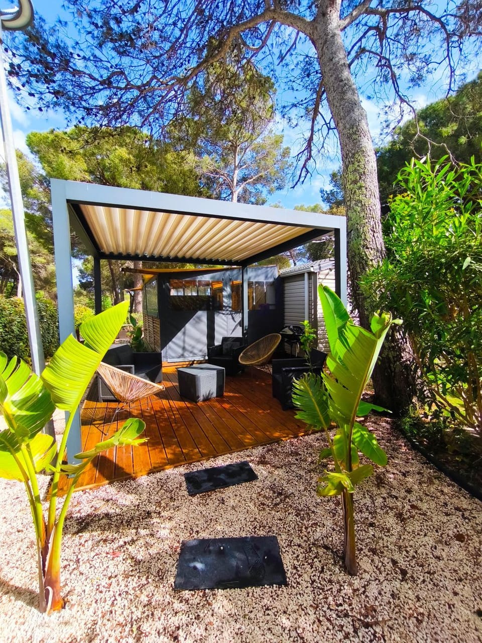 Patio, Garden
