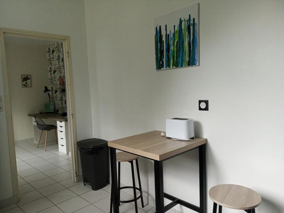Grand Pied à Terre in Blois for 2 to 6 travellers Apartment in Blois