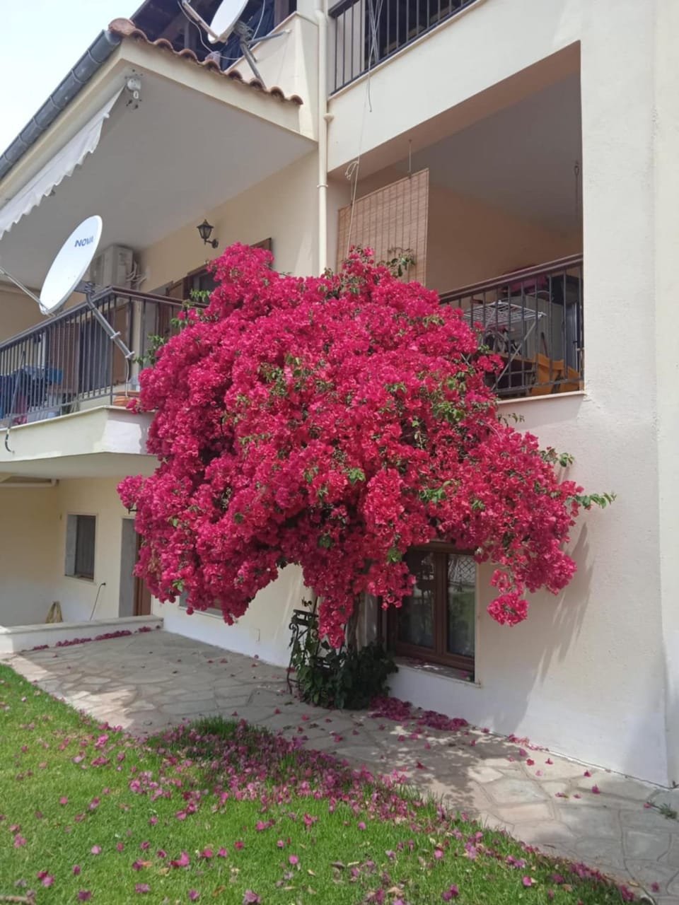 Property building, Day, Garden, Garden, View (from property/room), Balcony/Terrace, Garden view