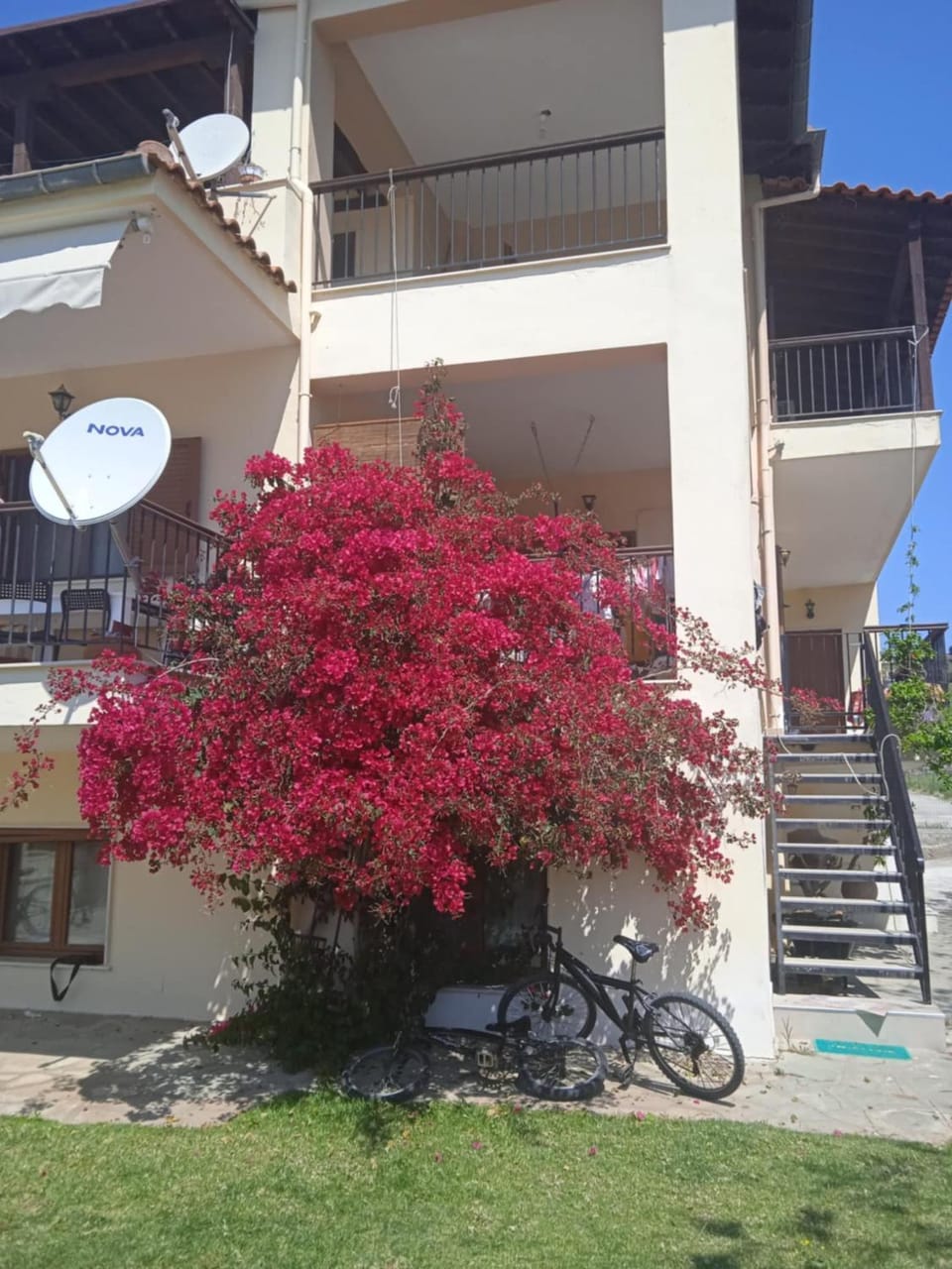 Spring, Garden, Balcony/Terrace, Inner courtyard view