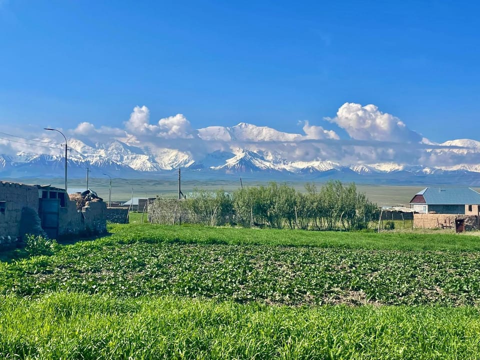 Ali guest house Bed and Breakfast in Europe