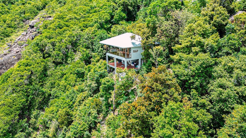 Property building, Natural landscape, Bird's eye view