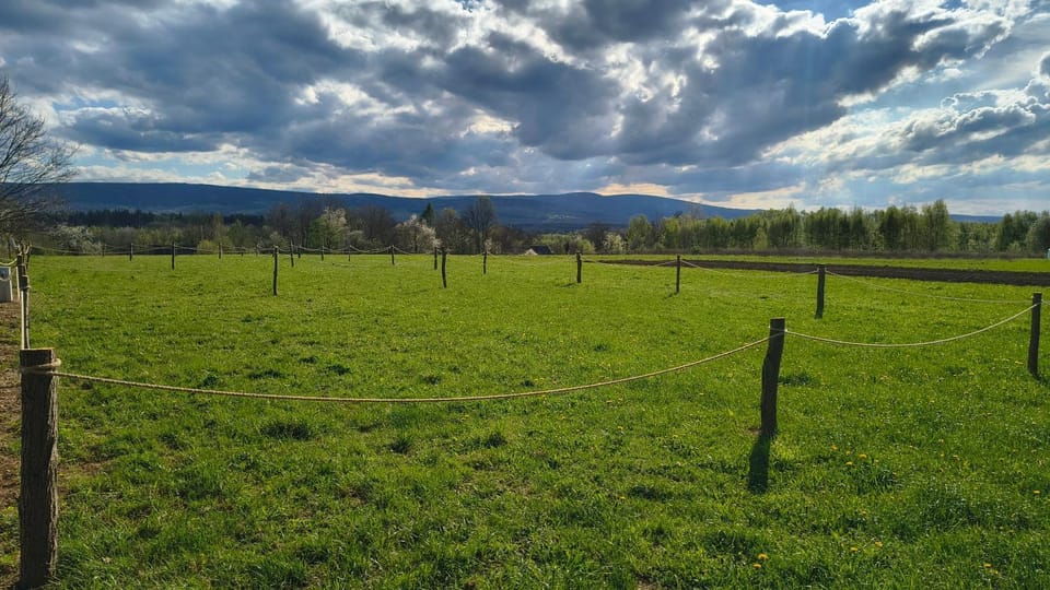 Garden, Garden, Mountain view