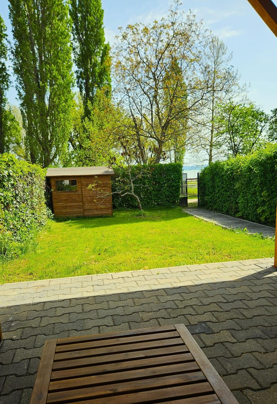 Natural landscape, Garden, Lake view