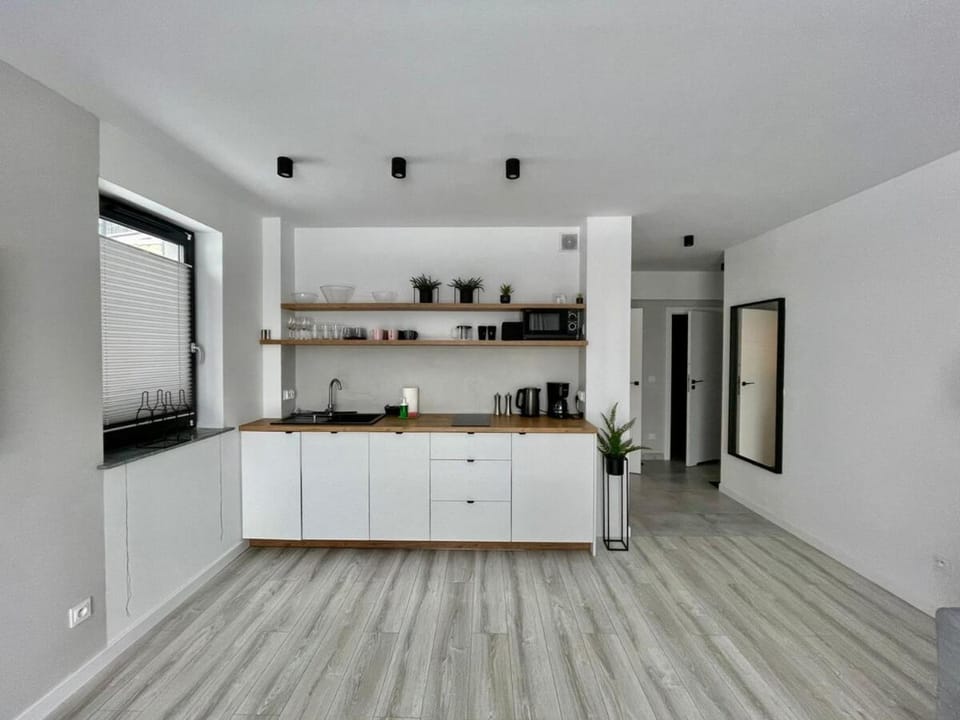 Kitchen or kitchenette, oven, stove