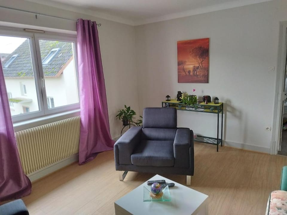 Appartement centre Alsace Apartment in Grand Est