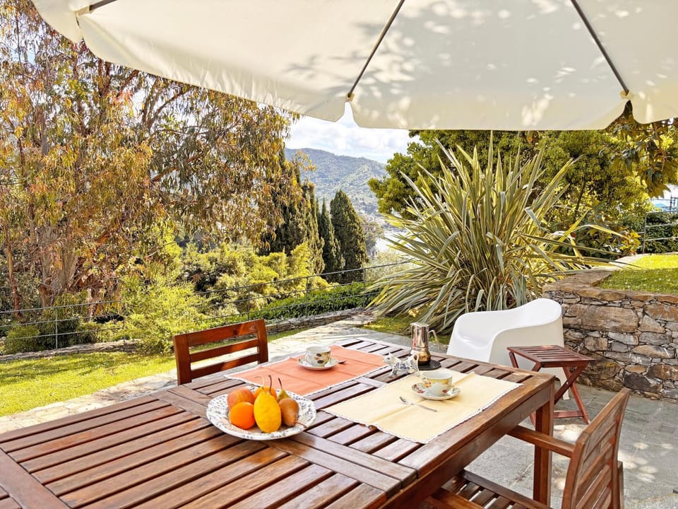 Garden, Garden view