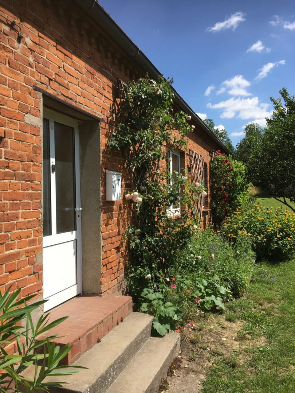 Property building, Garden view