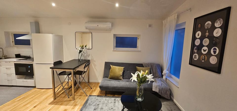 Kitchen or kitchenette, Living room, Dining area, air conditioner