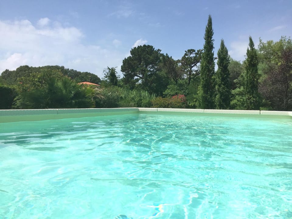 Day, Natural landscape, Pool view, Swimming pool