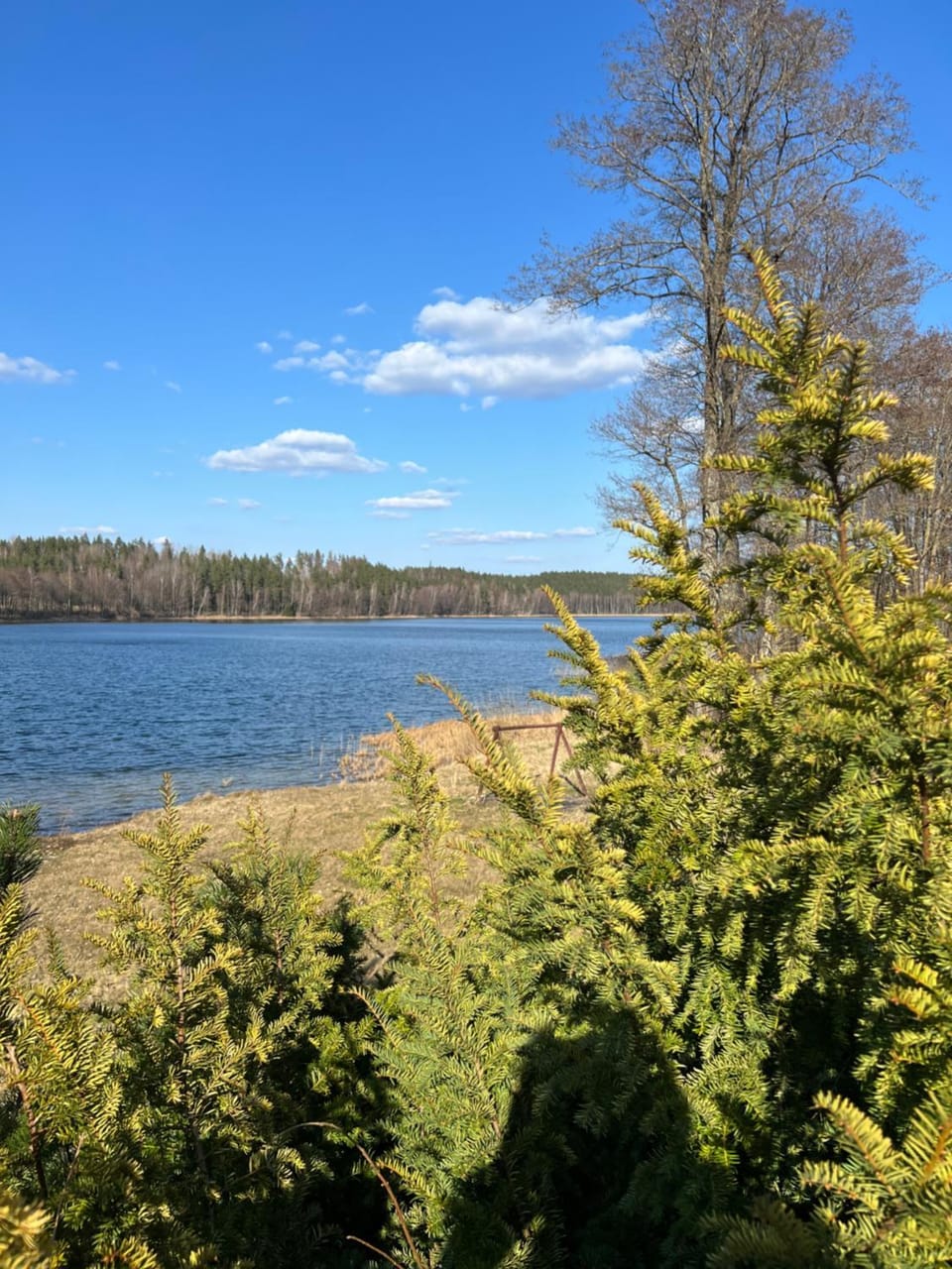 Spring, Day, Natural landscape, Beach, Lake view