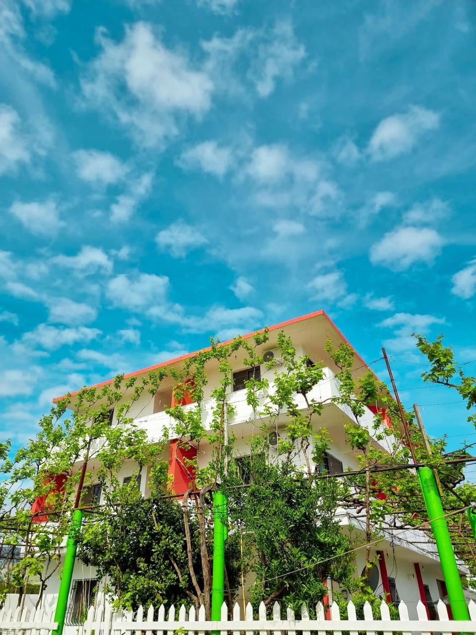 Property building, Natural landscape, Garden view