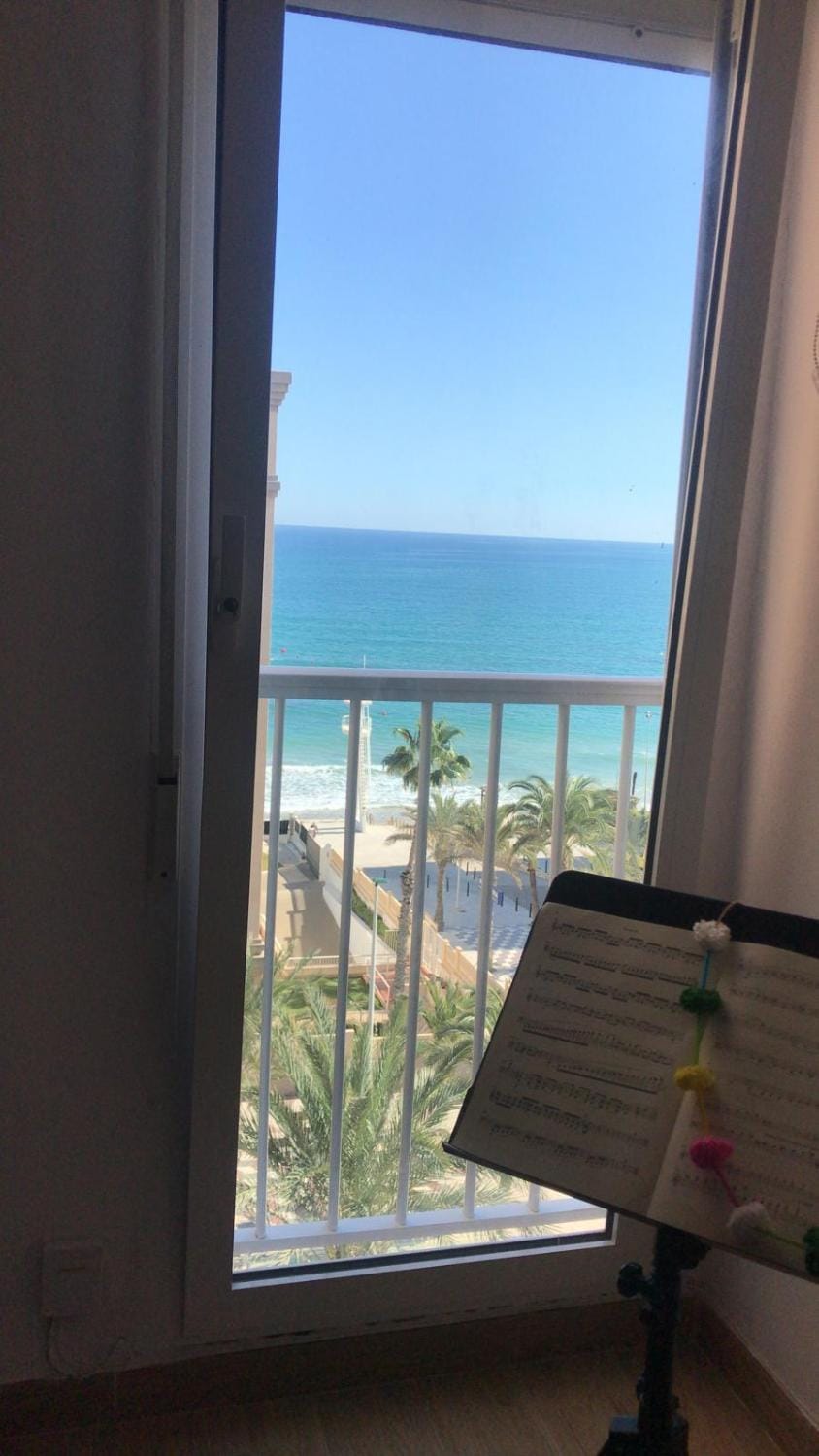 Apartamento en primera línea de playa Apartment in Alacantí