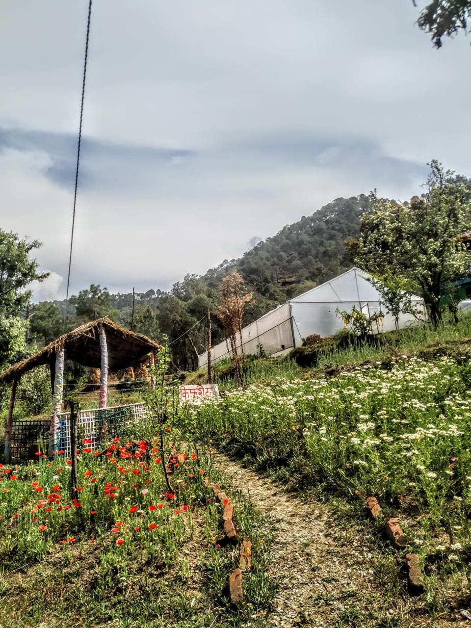 Natural landscape, Garden, Garden, Garden view, Mountain view