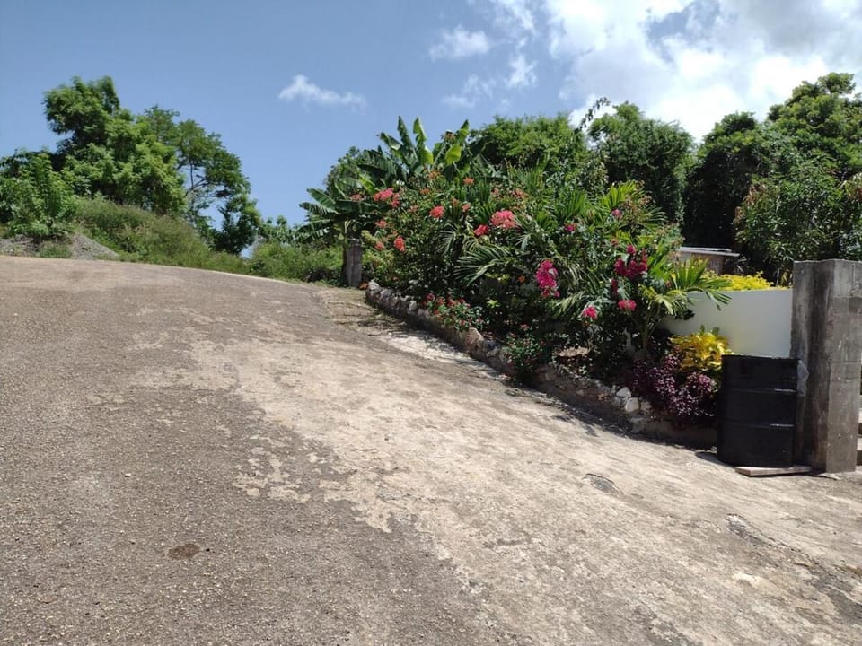 Natural landscape