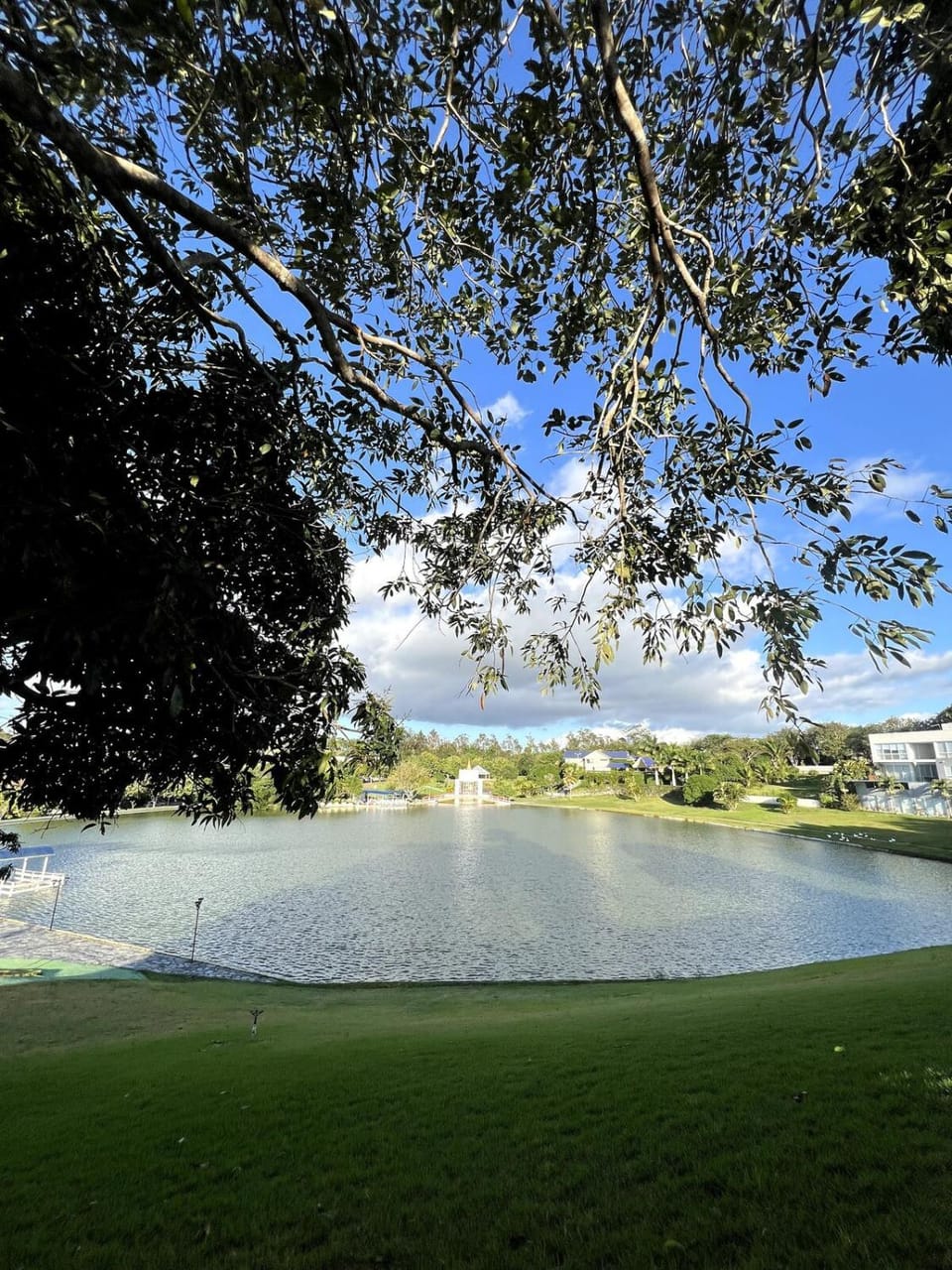 Natural landscape, Lake view