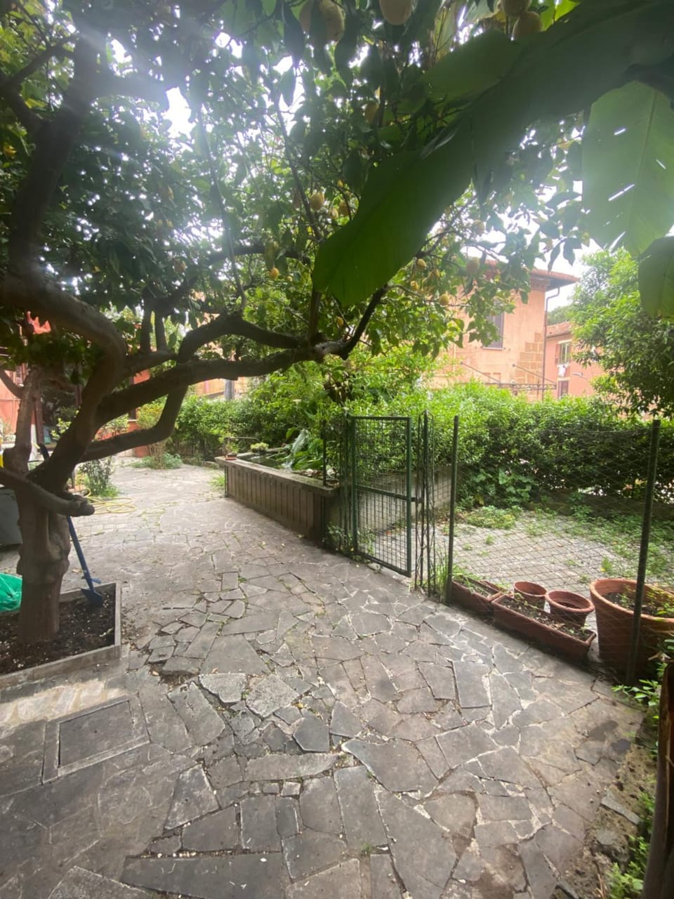 Garden, Garden view
