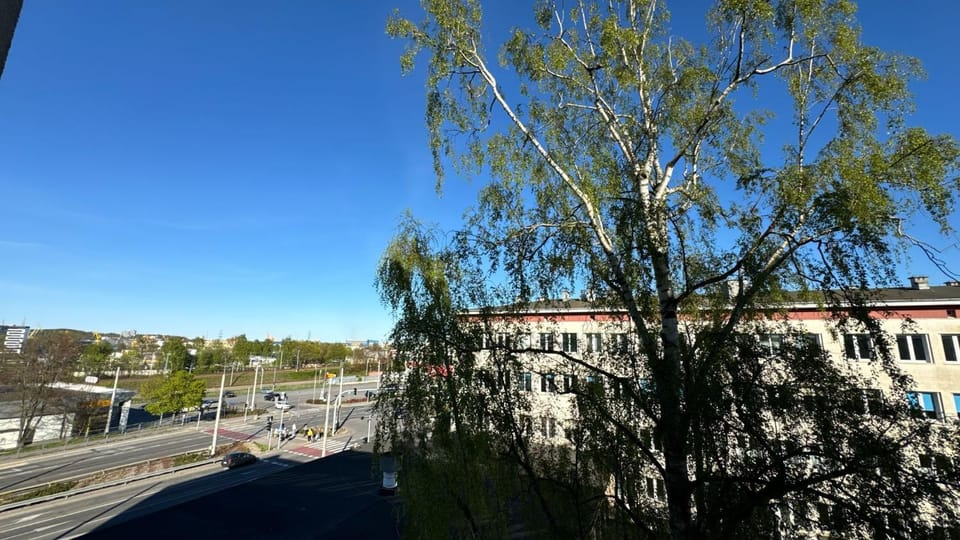 Day, Neighbourhood, Street view