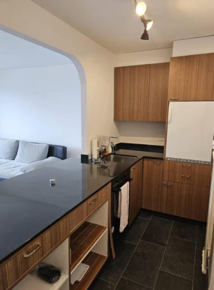 Kitchen or kitchenette, oven, stove
