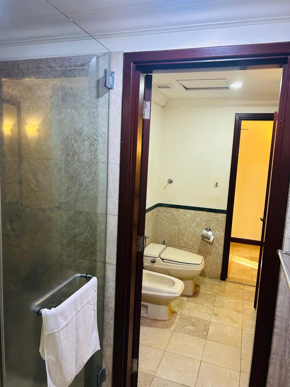 Shower, Toilet, towels