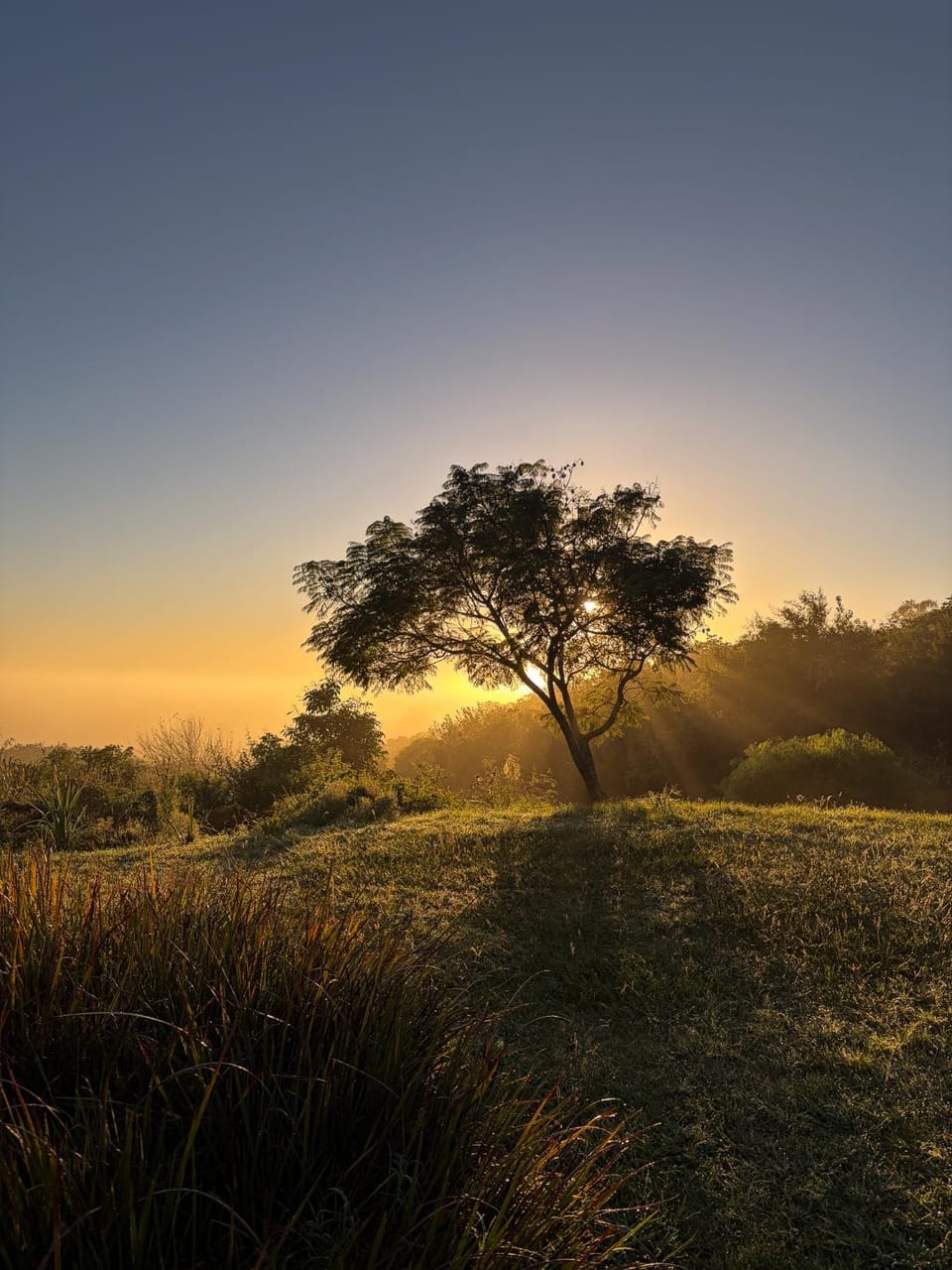 Natural landscape