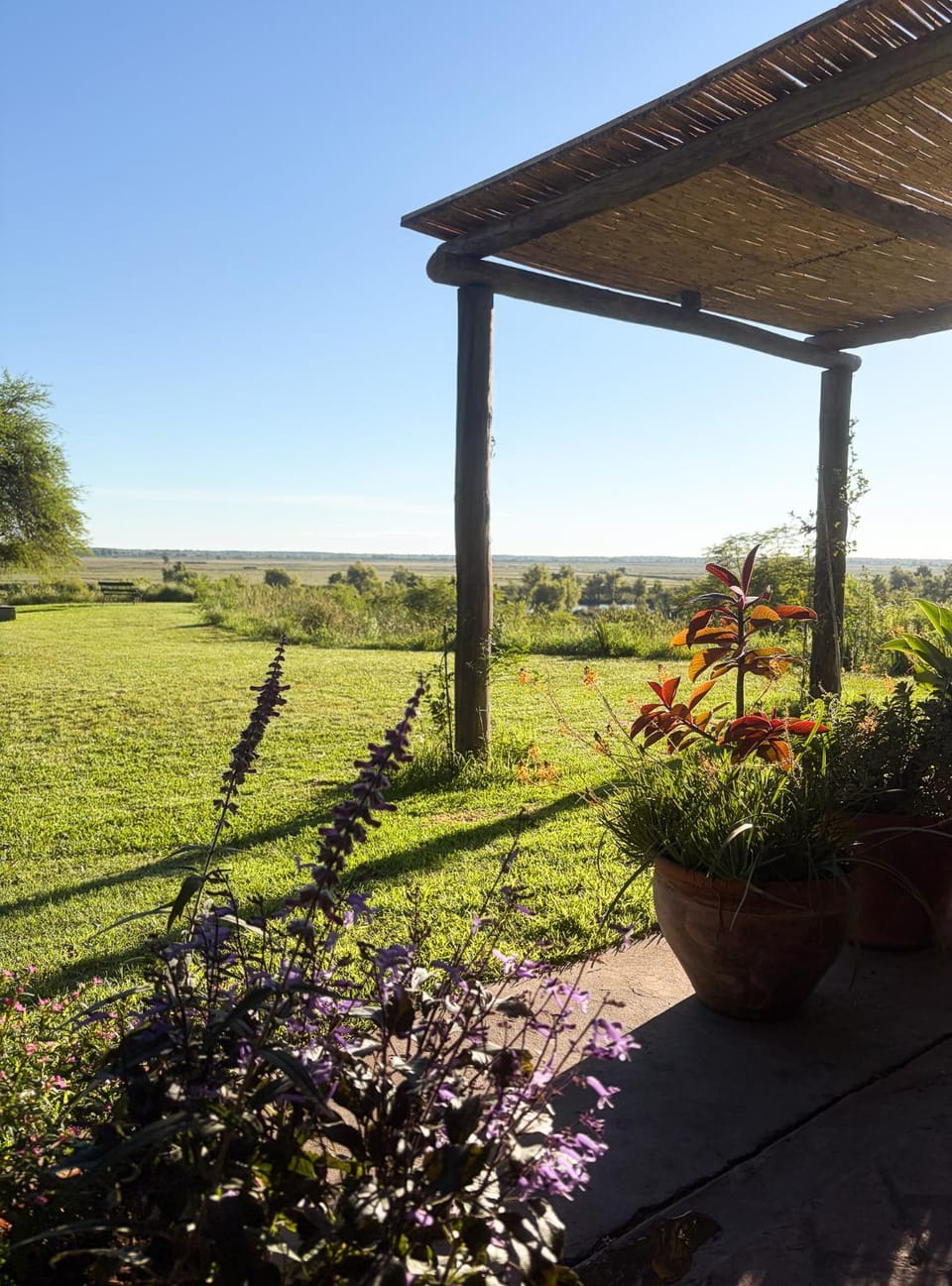 Garden view