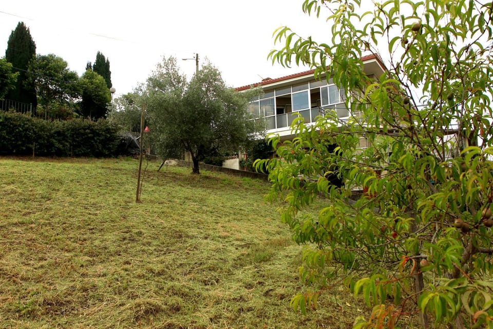 Property building, Spring, Day, Garden, Garden view