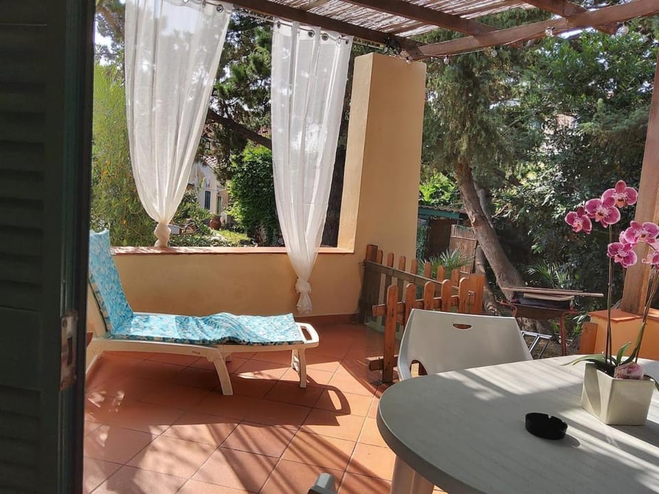 Patio, Balcony/Terrace, Dining area, sunbed