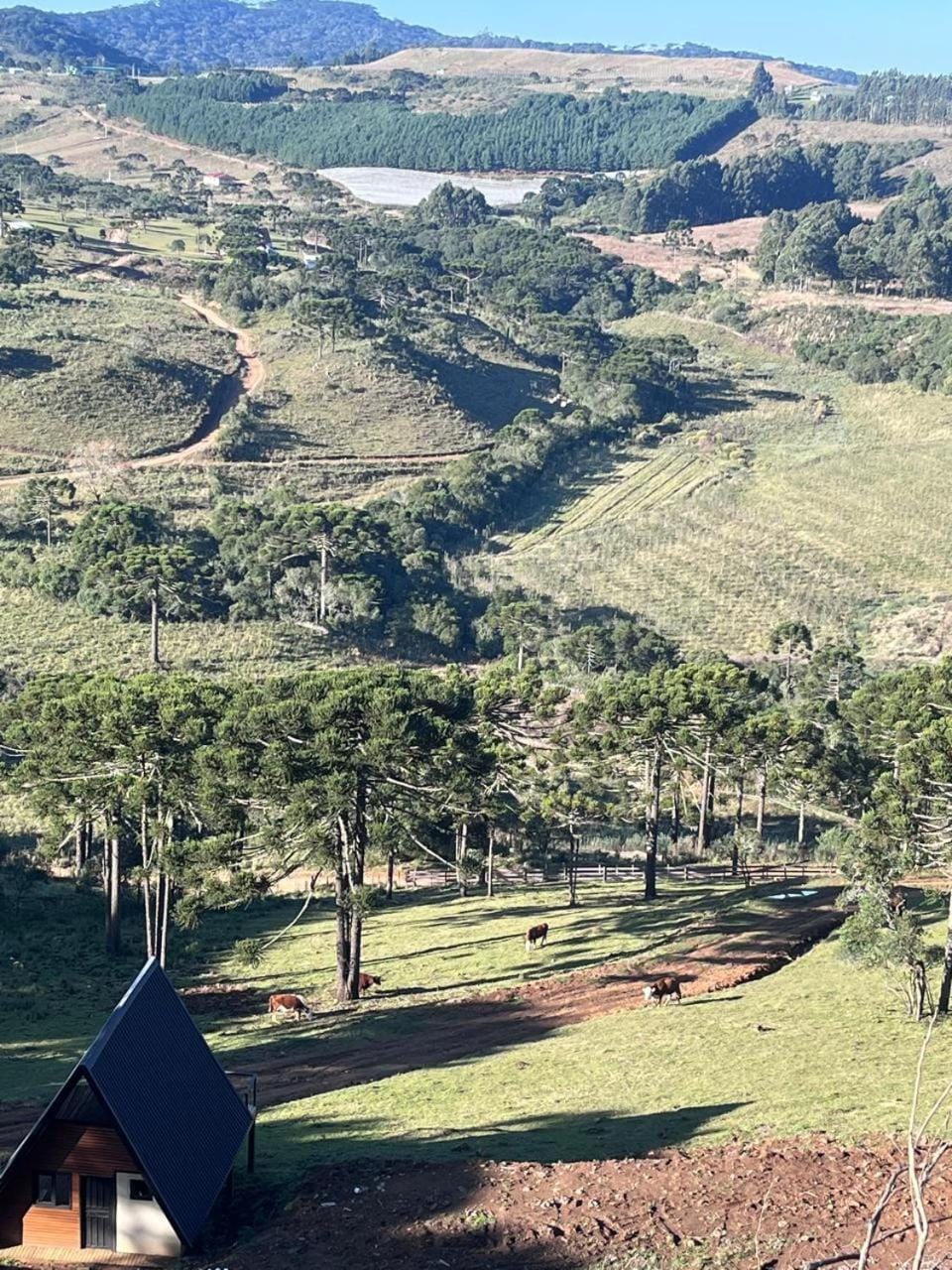 Pousada Chácara das Araucárias House in State of Santa Catarina