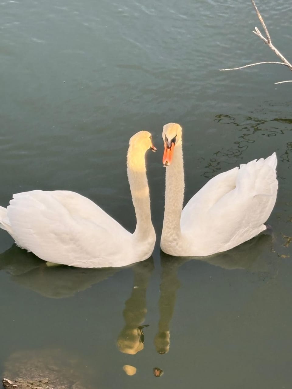 Rachels Luxury Tattershall Hot Tub & Fishing Retreat House in Tattershall