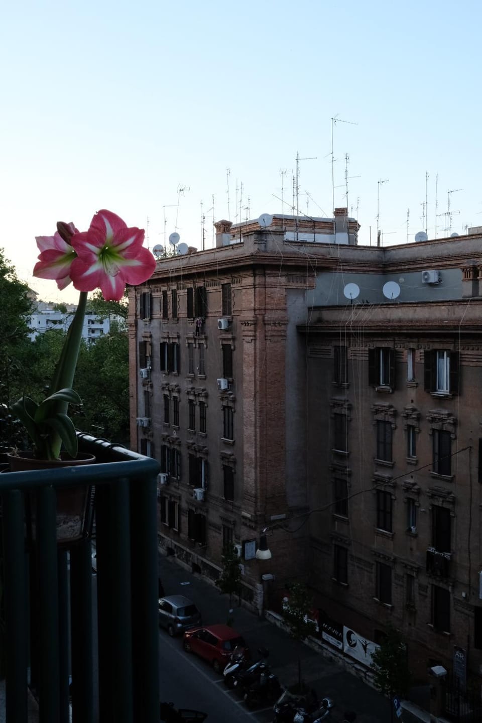City view