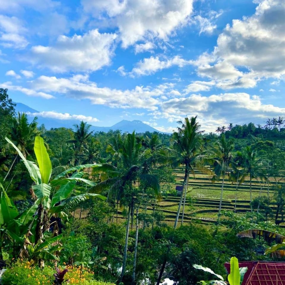Whispering Hills Nature lodge in Marga