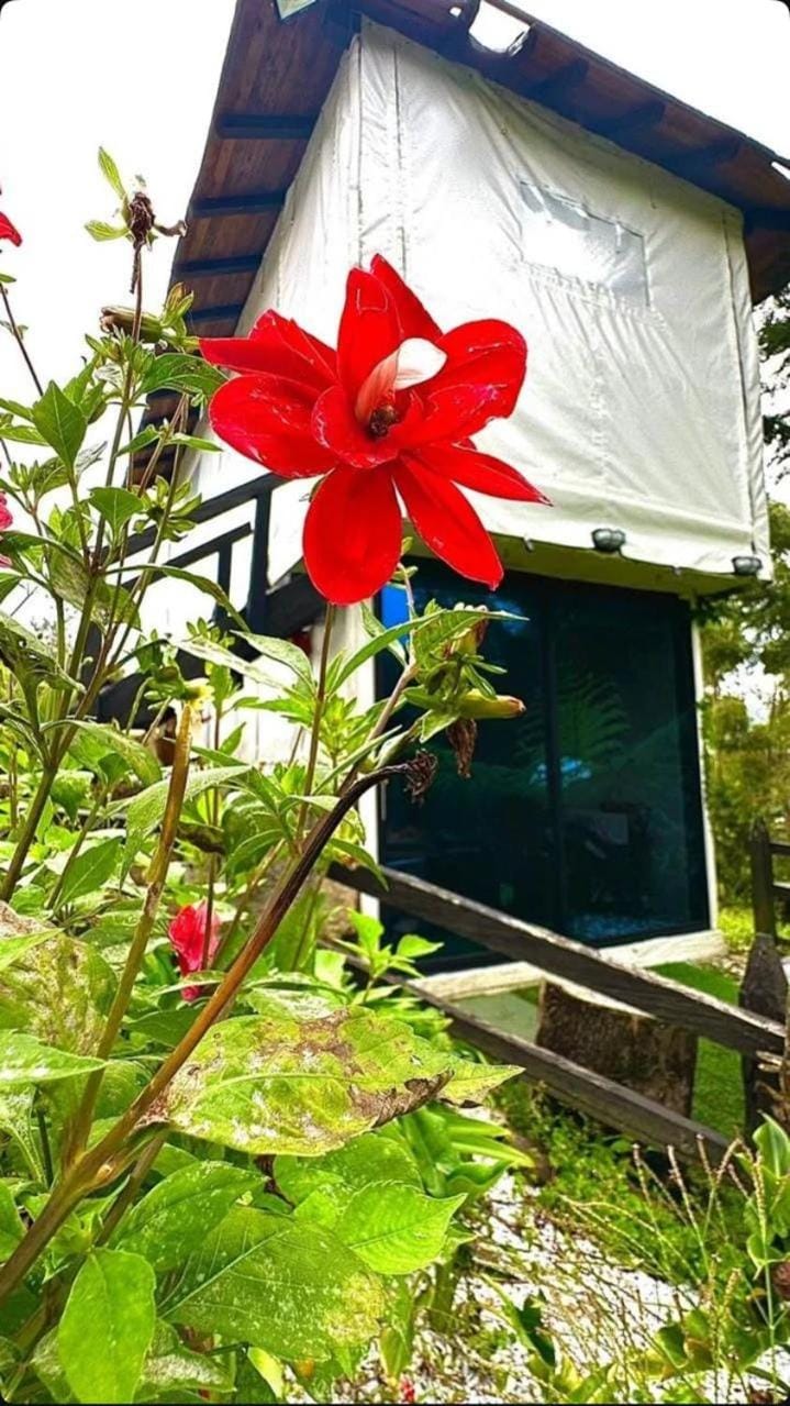 Cabaña Blanca Guarne cerca a Metrocable ARVI House in Antioquia