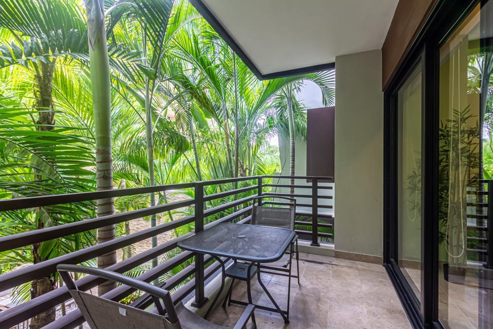Seaview Roof Pool, Gym Onsite, 4 Blocks to 5th Ave House in Playa del Carmen