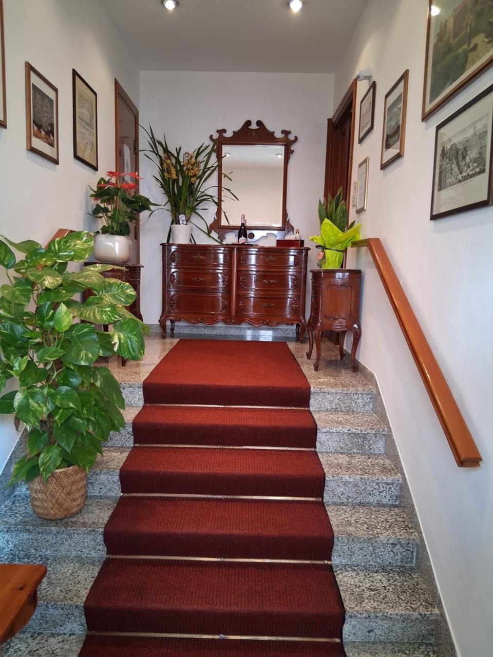 Lemon Garden Home Apartment in Rome