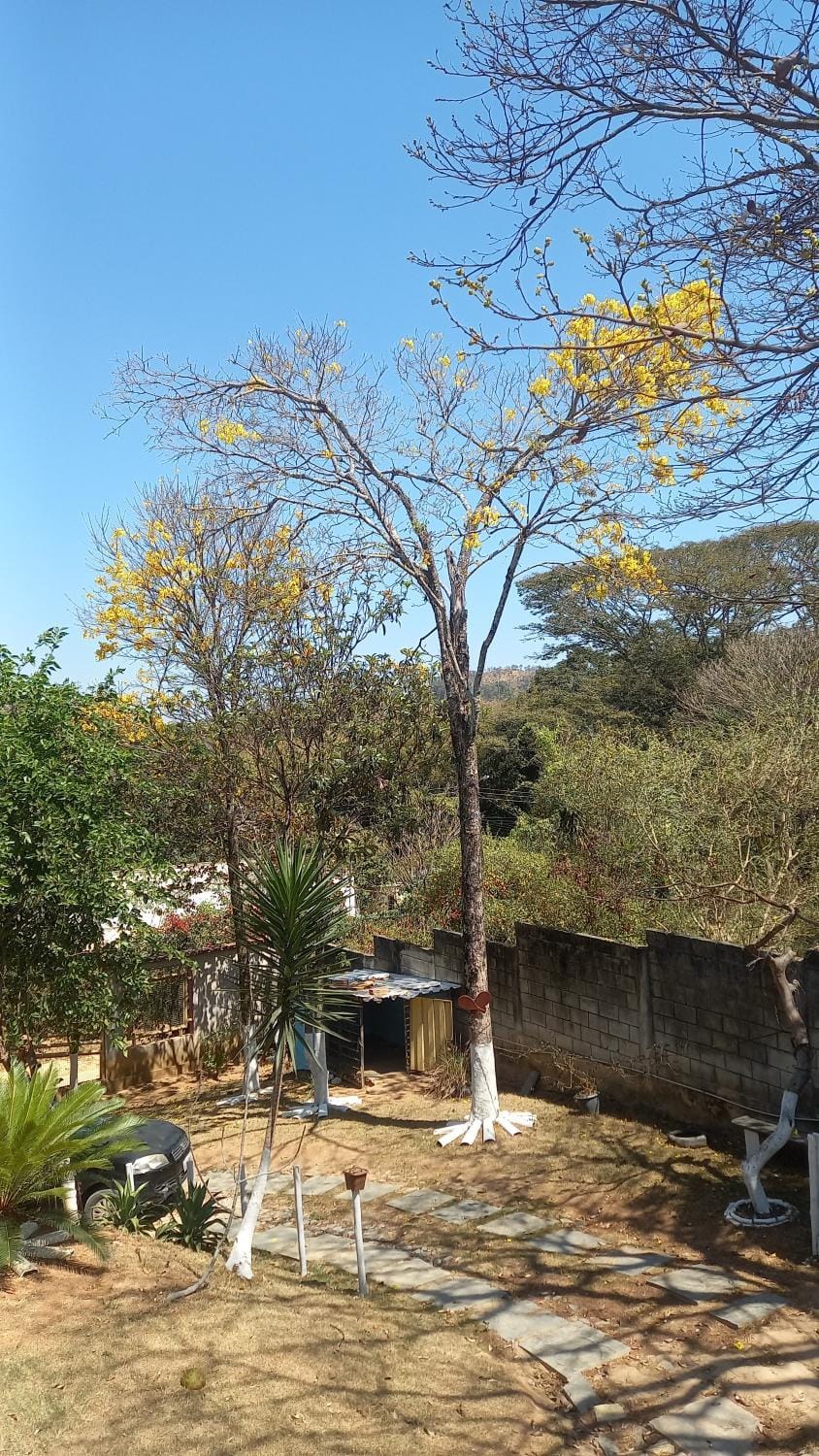 Cantinho Feliz Luxury tent in State of Minas Gerais, Brazil
