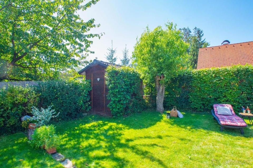 Garden view, sunbed