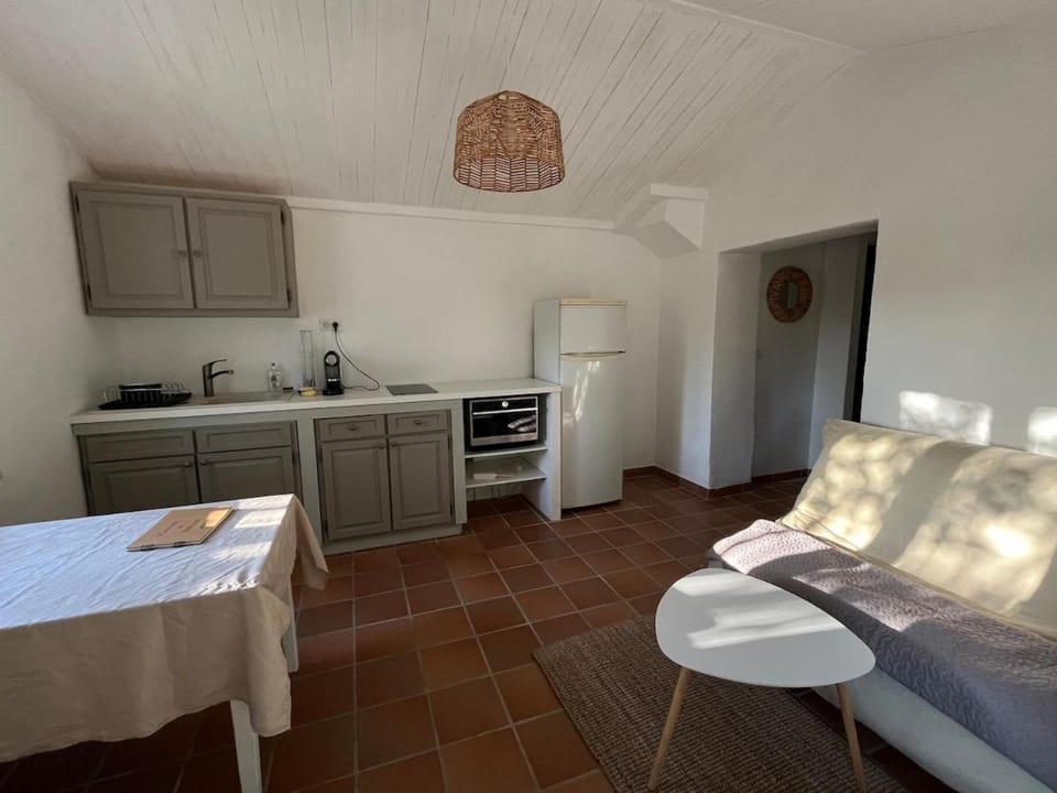 Kitchen or kitchenette, Dining area, oven, stove