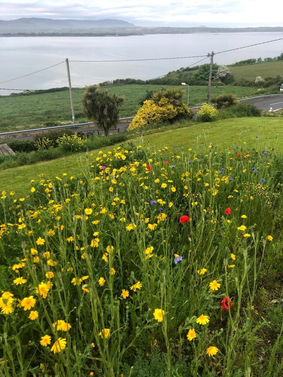 Cois Cuan Bed and Breakfast in County Waterford