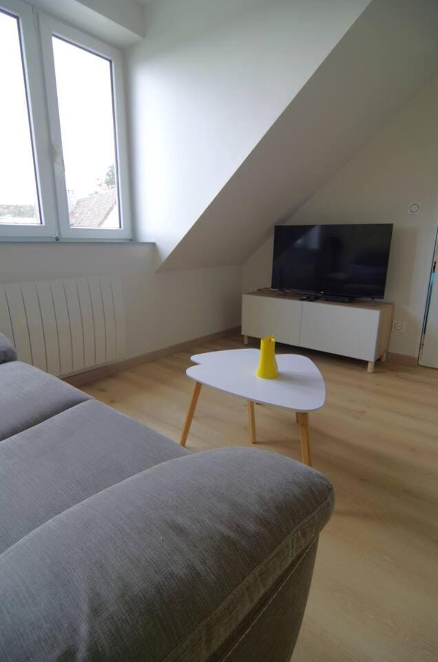 Le Bateau Bleu avec vue sur mer Apartment in Criel-sur-Mer