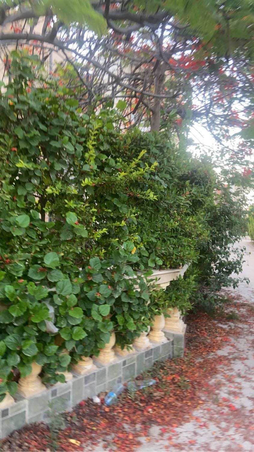 Sahel Apartment in Alexandria Governorate