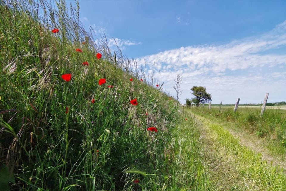 le galet Bleu Apartment in Criel-sur-Mer